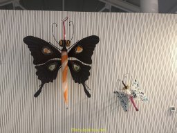 Exposición de Flyppy 2023